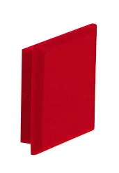 RasterPlan Magnete in Rot, eckig, 10er-Set, ideal f?r industrielle Anwendungen. Robuste Bauweise, hohe Haltekraft, vielseitig einsetzbar. Von Kappes Systeme GmbH.