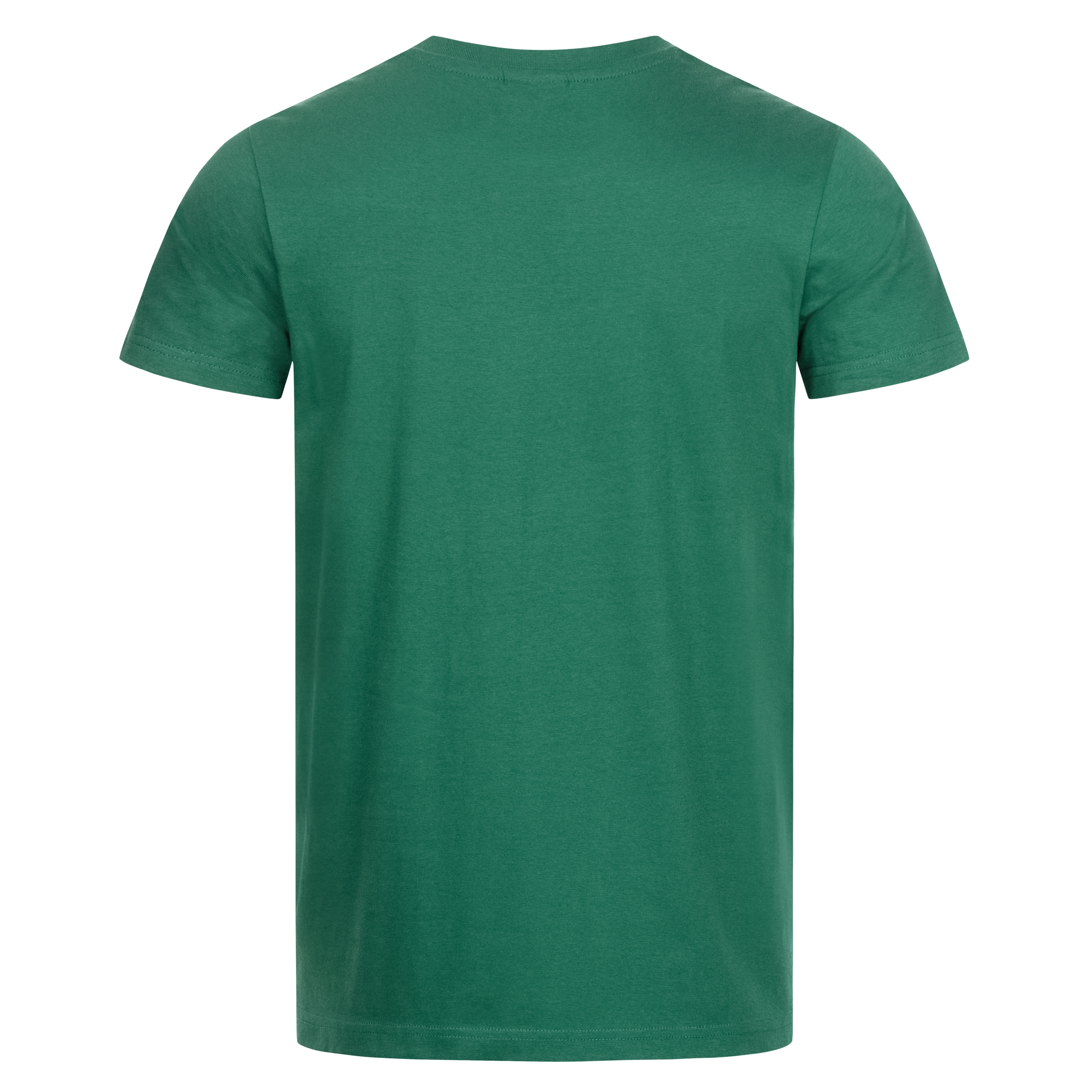 NITRAS MOTION TEX LIGHT, T-Shirt, vorgewaschen, Rundhals, ohne Seitennaht, kardierte Baumwolle, grün (Farbcode: 3000), 145 g/qm, STANDARD 100 by OEKO-TEX®