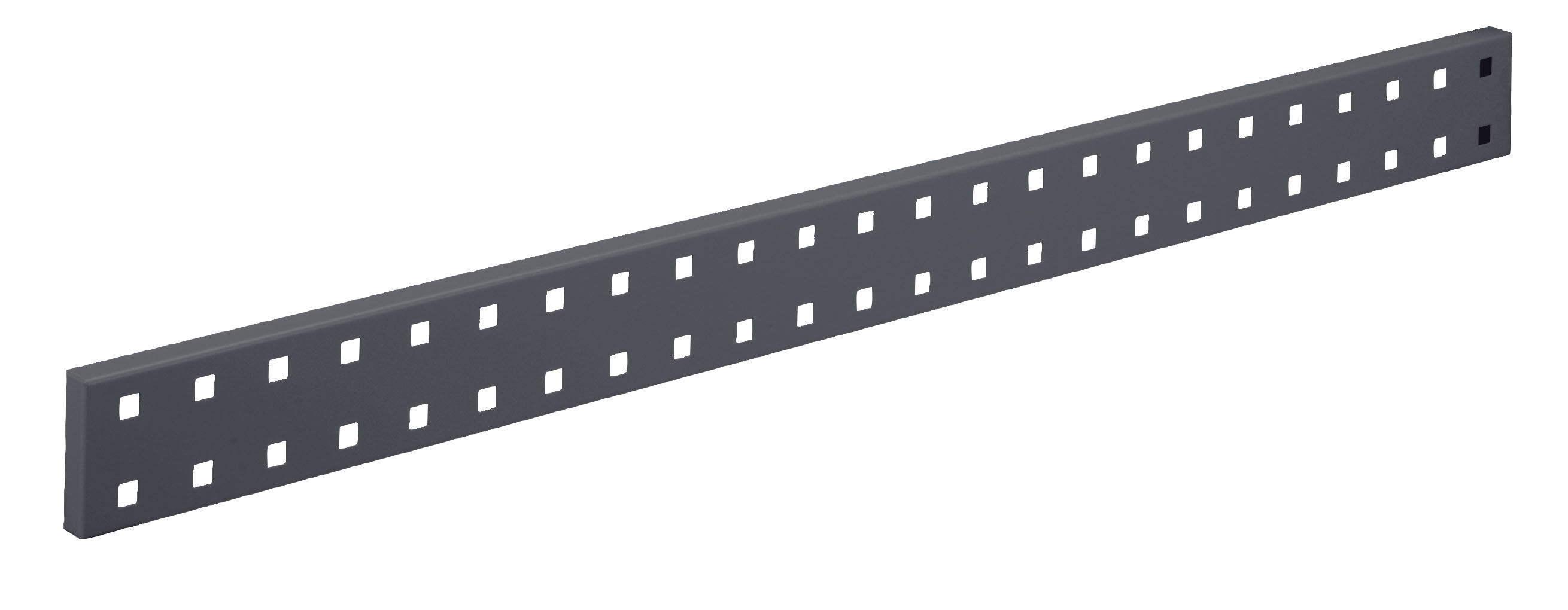 ®RasterPlan Wandschiene Lochplatte L 920 x H 70 mm RAL 7016.