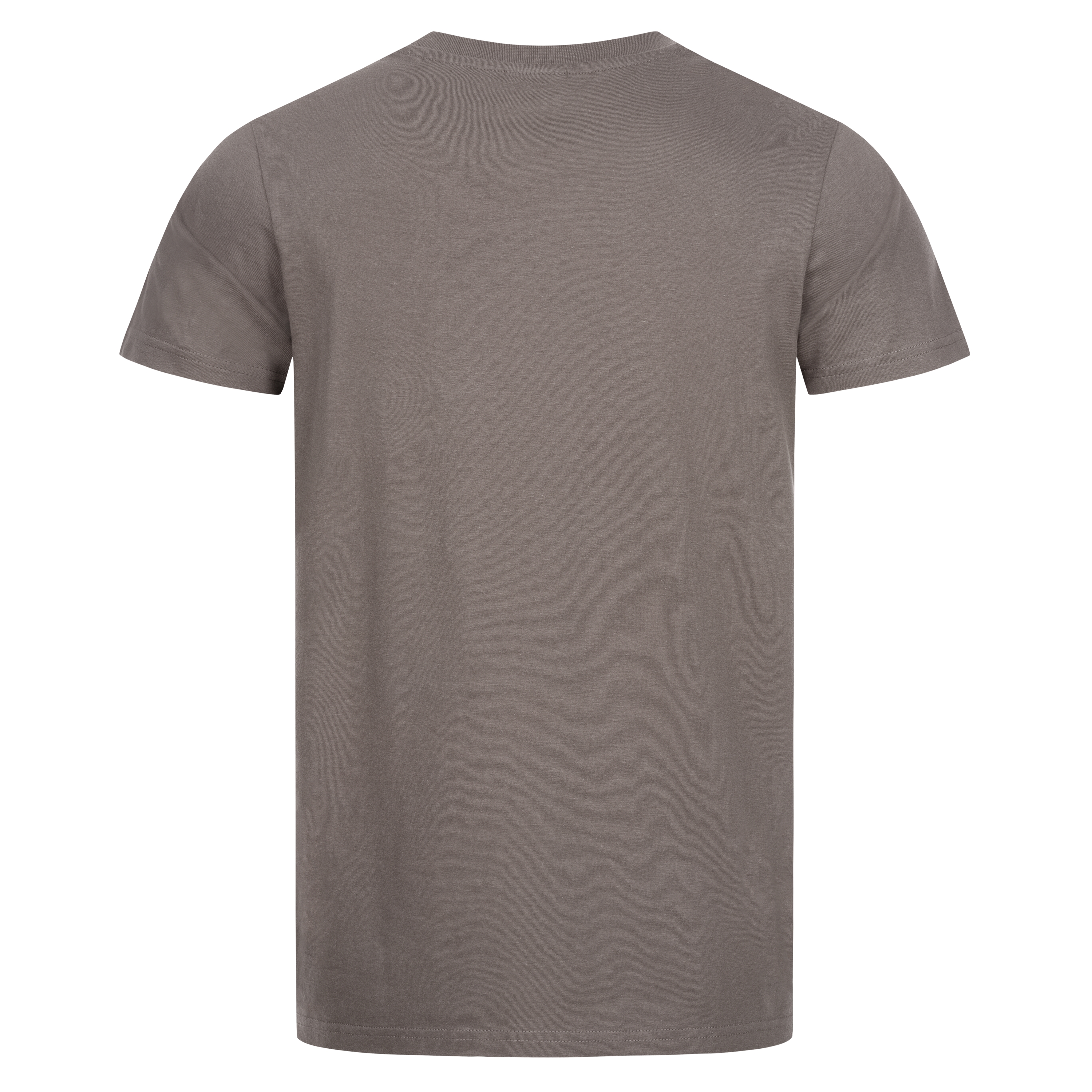 NITRAS MOTION TEX LIGHT, T-Shirt, vorgewaschen, Rundhals, ohne Seitennaht, kardierte Baumwolle, grau (Farbcode:1200), 145 g/qm, STANDARD 100 by OEKO-TEX®
